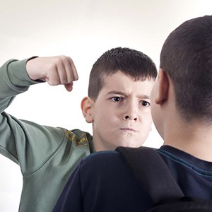 Bully