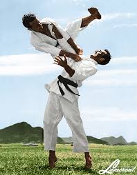 Gracie flying armbar