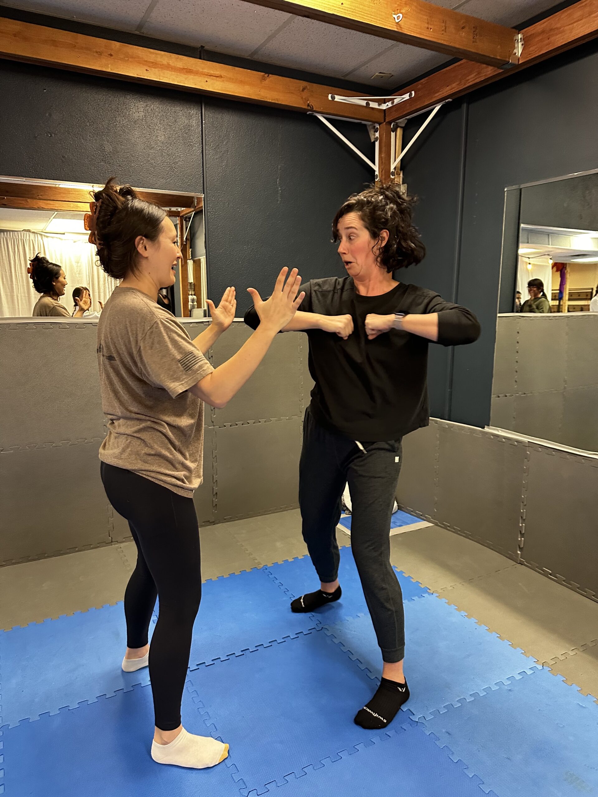 Jiu jitsu elbow strike