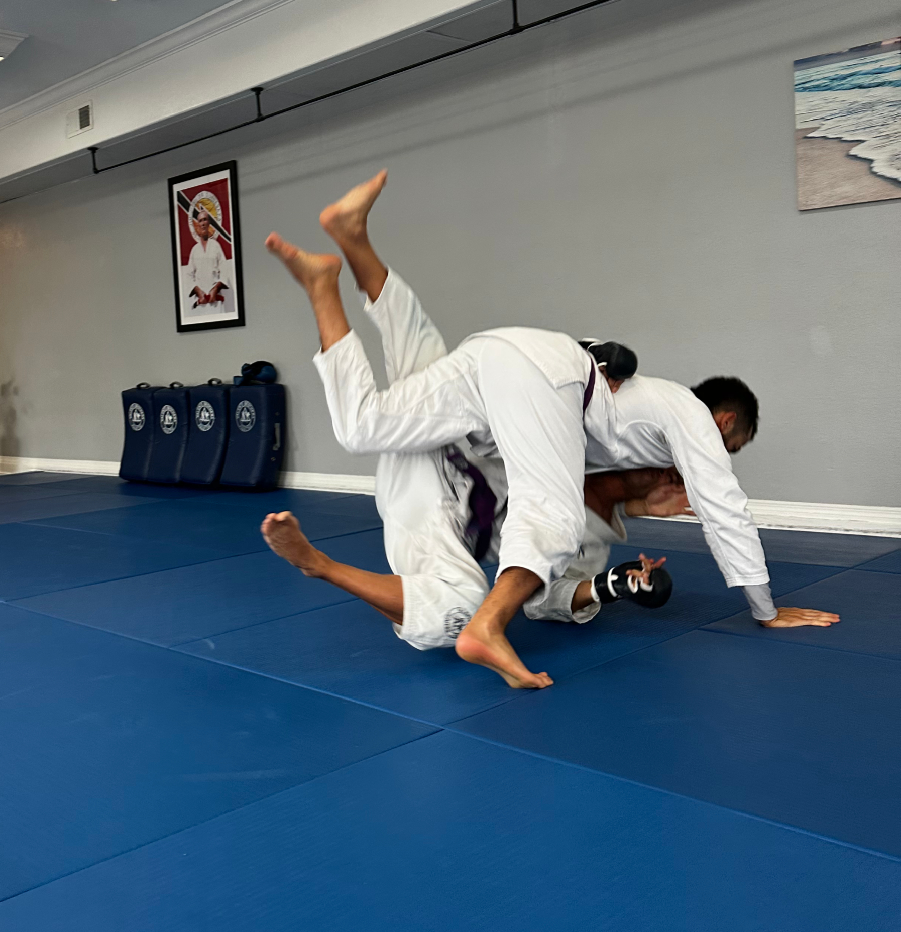 Self Defense Jiu-Jitsu ground figthing