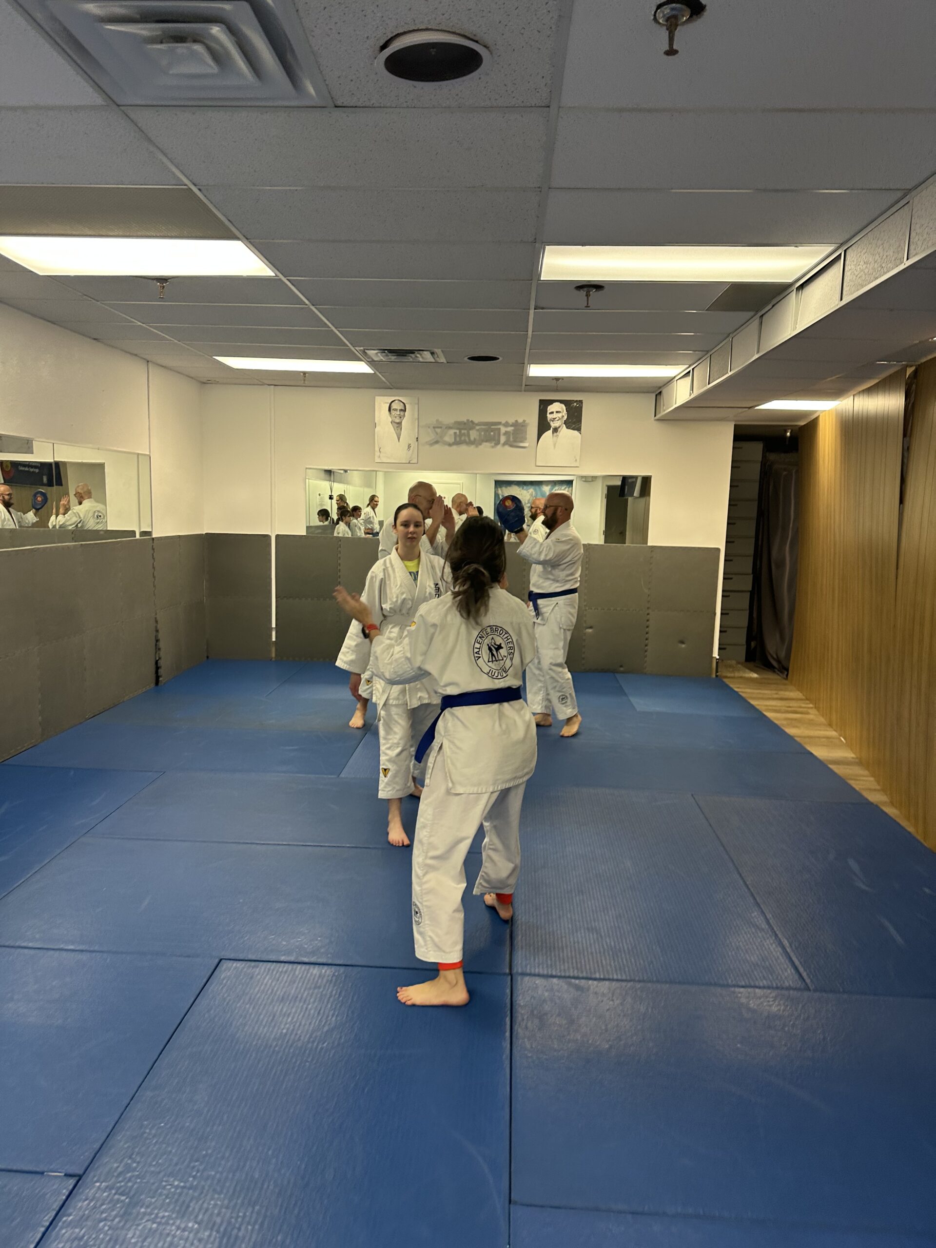 Self Defense School