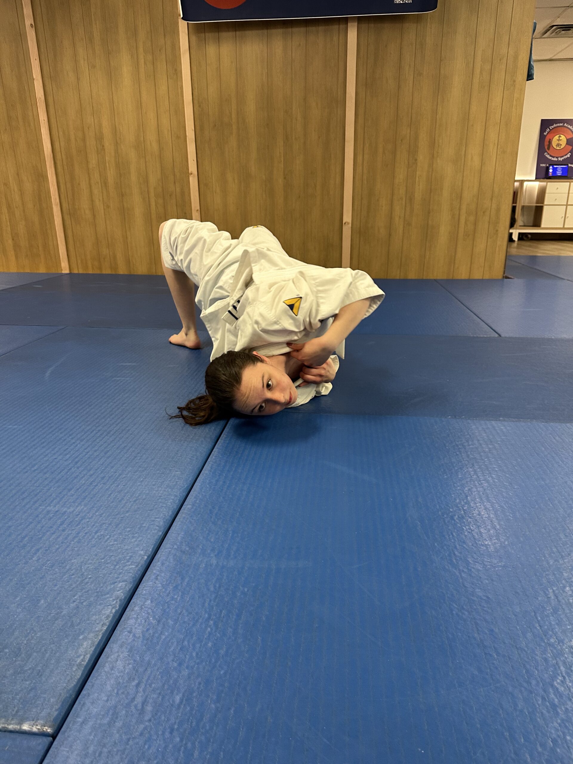Jiu jitsu Bridge
