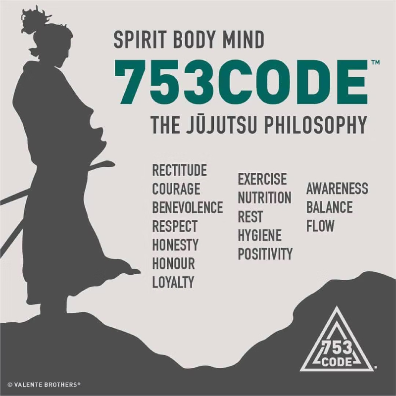 753 Code 753 Code